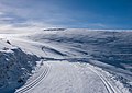 * Nomination Cross country skiing track at Val d'Azun (Col de Couraduque area). Lavedan, Hautes-Pyrénees, France --Basotxerri 08:23, 5 February 2017 (UTC) * Promotion There might be just a bit of pixellation on the right side, so look and see if there is, but still, a very good picture. -- Ikan Kekek 08:32, 5 February 2017 (UTC)