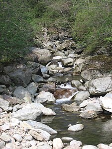 Valgoglio torrente Goglio.jpg