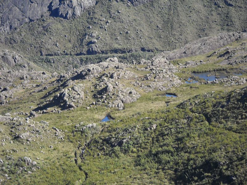 File:View from Agulhas Negras trail^ - panoramio (4).jpg