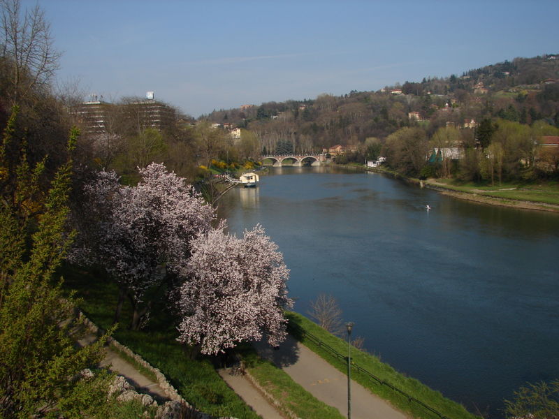 ファイル:View of the Po from Turin.jpg