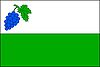 Флаг Виничне-Шумице