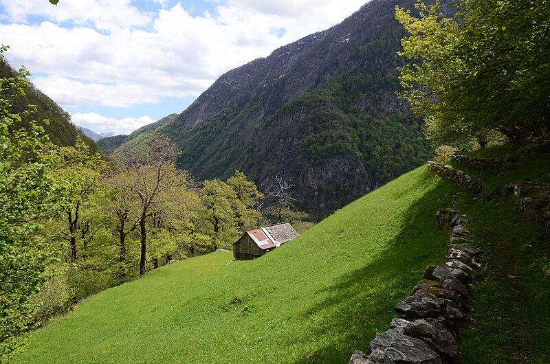 File:Viste di et intorno di Cerentino Corte Sotto 16.jpg