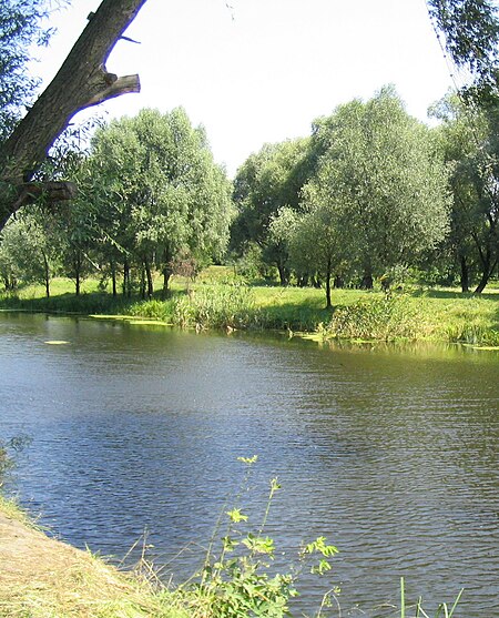 Vovcha (Donets)