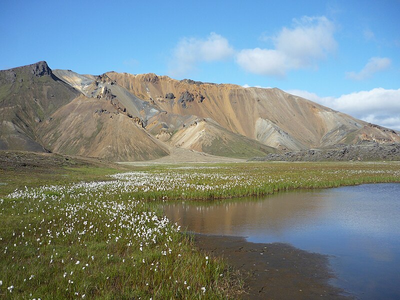 File:Vondugiljaaurar, Suðurnámur.JPG