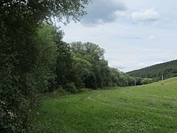 Koryto Vrbičského potoka pod Skytalským vrchem