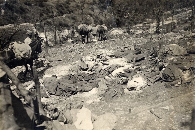 File:WWI - Monte San Michele - 29th June 1916 Italian casualties after a gas attack.jpg