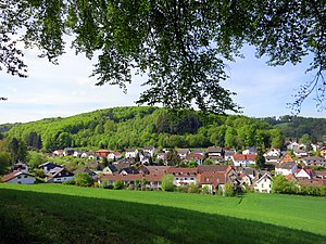 Waschenbach with the Kirschberg in the background