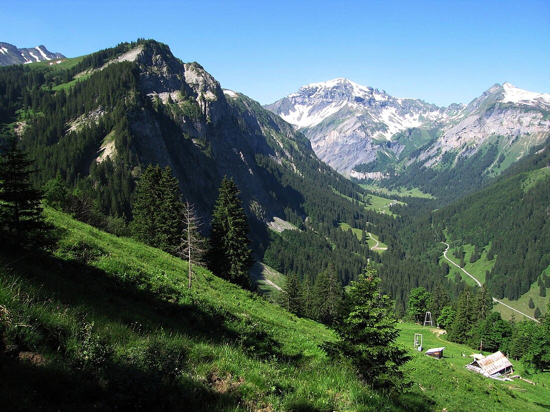 Weisstannental