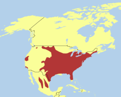 Distribución do pavo salvaxe en América do Norte.