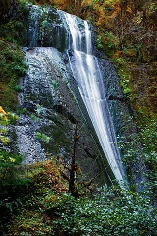 <span class="mw-page-title-main">Wolf Creek Falls (Oregon)</span> Waterfall in Umpqua National Forest