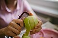 Woman peeling apples in the kitchen closeup - 50387100326.jpg