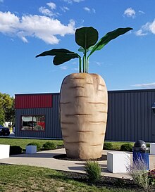 21-foot-tall sculpture of a sugar beet.
