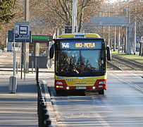 MAN Lion's City bus