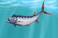 List Of Prehistoric Bony Fish Genera