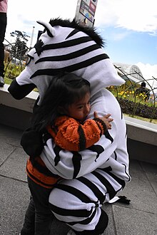 La Paz.jpg Zebra