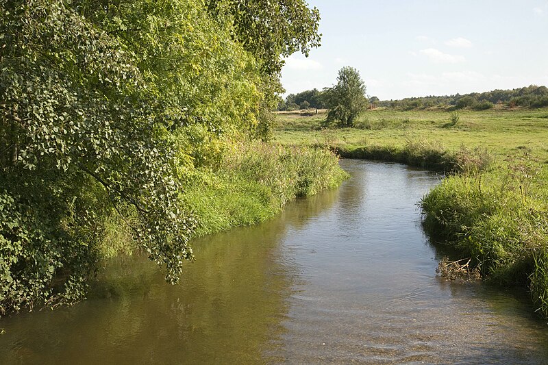 File:Zicht over het riviertje De Swalm met terrassen in het weiland daar achter - Swalmen - 20427454 - RCE.jpg