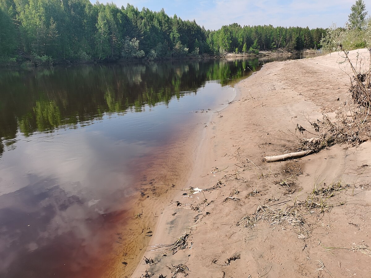 пляж в томске