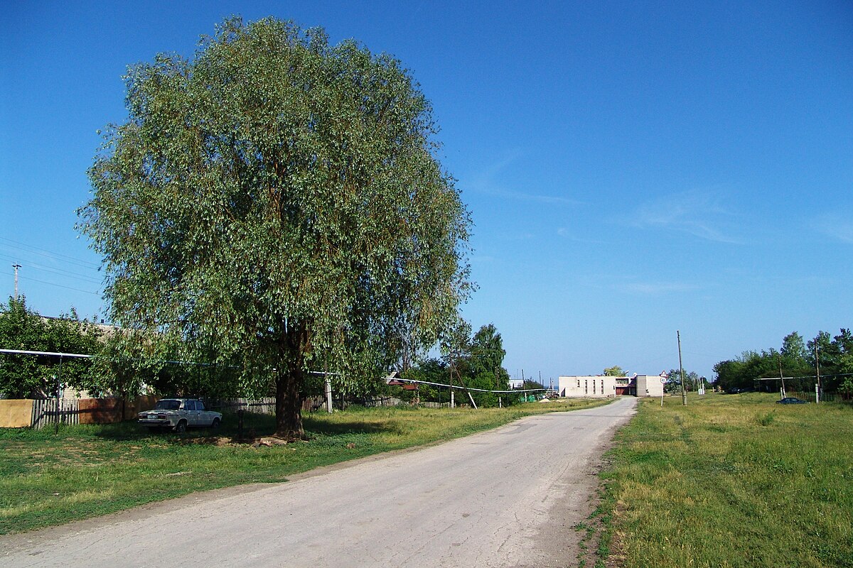 Светлое самарская область. Улицы села Алеево. Село Подвалье Шигонский район. 65 Улица. Село Денискино Самарская область.