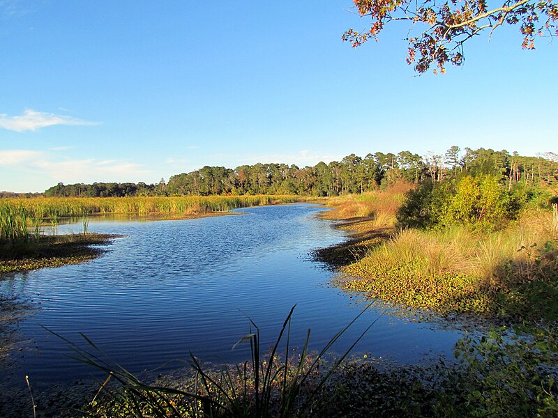 File:02 Bennetts Point RD Green Pond SC 6829 (12397630284).jpg