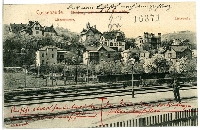 File:07242-Cossebaude-1906-Eichberg während der Baumblut-Brück & Sohn Kunstverlag.jpg