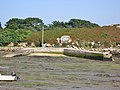 Lilia : le petit port de Kerazan à marée basse.