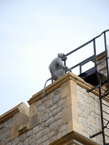 File:11.Haste-Baboon on the Brick Tower at the Tower of London.jpg