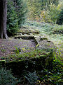 Kleinkastell Robern am Odenwaldlimes