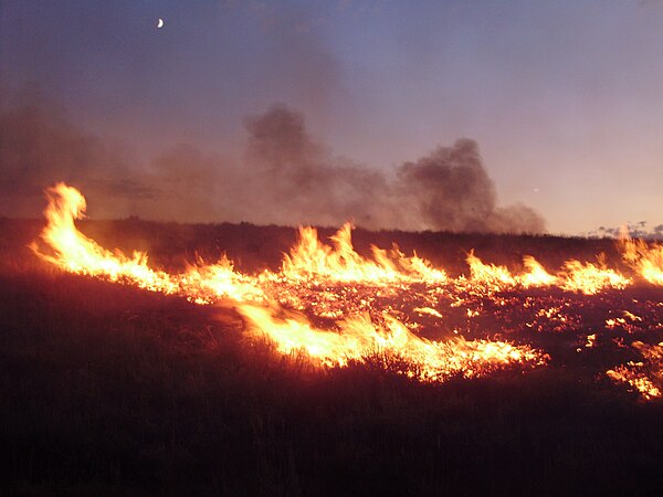 Lightning-sparked wildfires are common occurrences in Elko County.