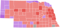 2014 Nebraska State Auditor election Republican primary