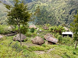 20170904 Vallée de Papouasie Baliem 8.jpg