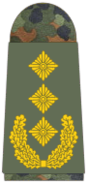 Generalleutnant (German Army)