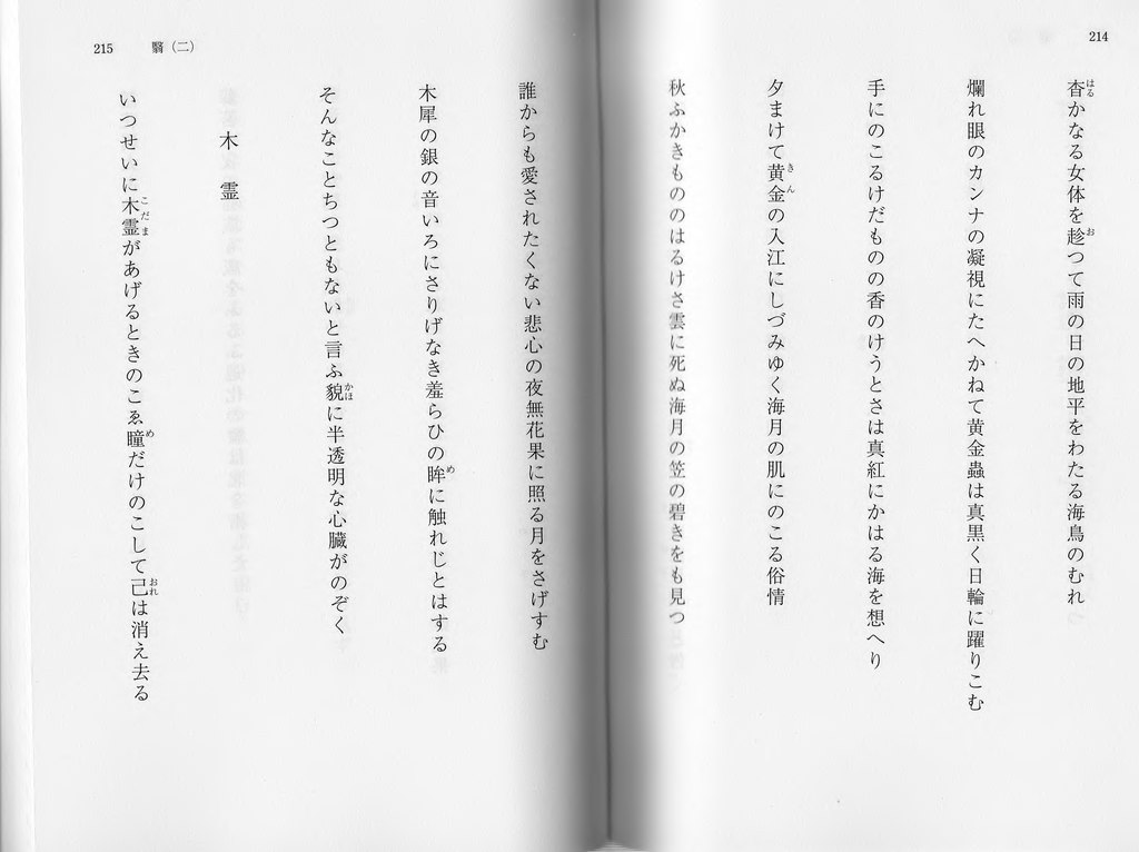 Page Akashikaijin Shadow2 Iwanami 12 Djvu 9 Wikisource