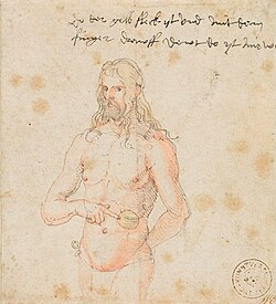 Dr Albrecht Dürer wyst uf syni Malaria-Symptom aane.