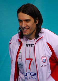 Aleksandar Mitrović (volleyball) volleyball player