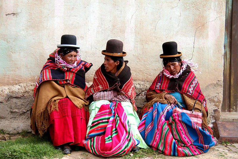 Chola boliviana - Wikipedia, la enciclopedia libre