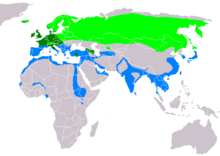 Piilpardi levikukaart. Suvine pesitsusala (heleroheline), aastaringne levila (tumeroheline), talvitumisala (sinine).