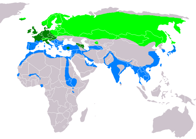 生息分布図