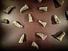 Jetons provenant de Tepe Gawra, v. 5000-4500 av. J.-C. Penn Museum.