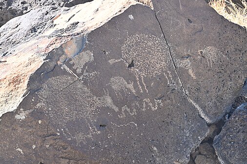 Animal herd petroglyph