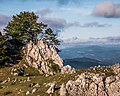 * Nomination Beeches (Fagus sylvatica) in the Arangio mountain range. Álava, Basque Country, Spain --Basotxerri 18:37, 1 February 2018 (UTC) * Promotion  Support Good quality.--Famberhorst 18:43, 1 February 2018 (UTC)