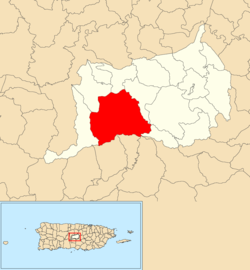 Location of Bauta Abajo within the municipality of Orocovis shown in red