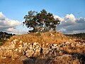 תמונה ממוזערת לגרסה מ־13:29, 4 ביוני 2018