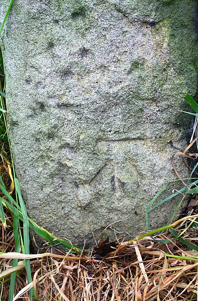 File:Benchmark on gatepost near Drabble House Farm - geograph.org.uk - 5285477.jpg