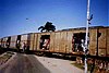 A freight train on the Benguela railway with a number of riders.