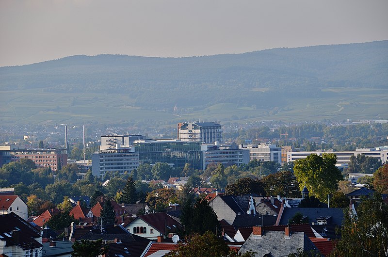 File:Boehringer Ingelheim - panoramio (1).jpg