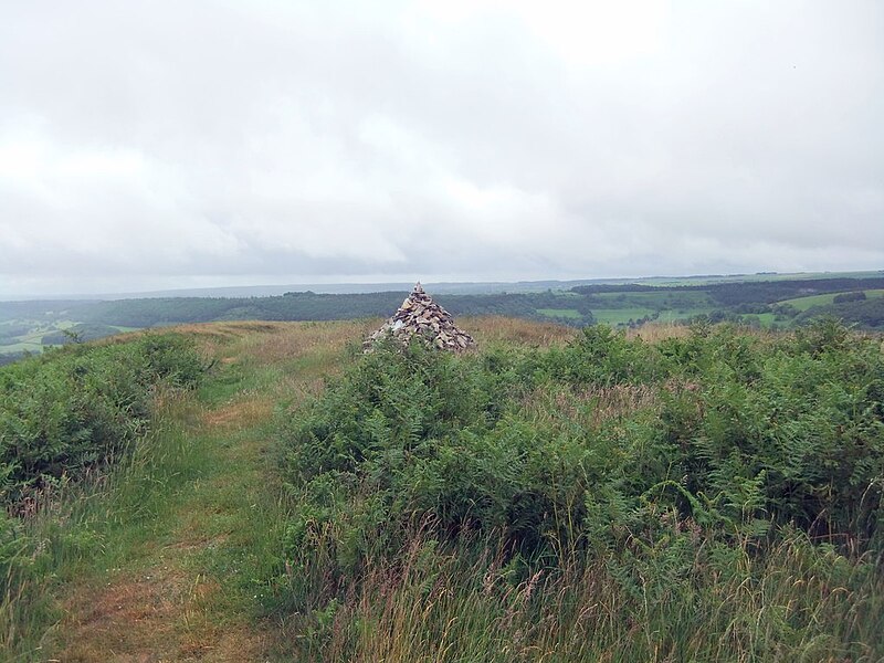 File:Cairn on Hawnby Hill - geograph.org.uk - 5814471.jpg