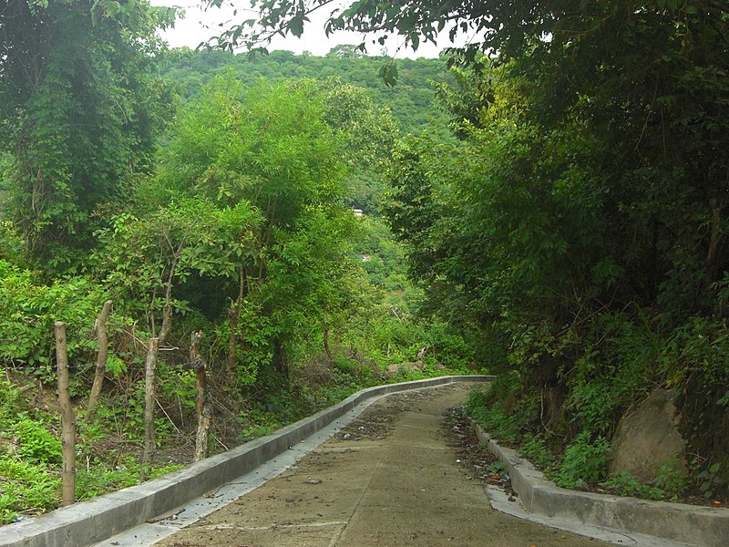 File:Calle de canton Azacualpa - panoramio.jpg