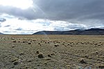 Thumbnail for Patagonian grasslands
