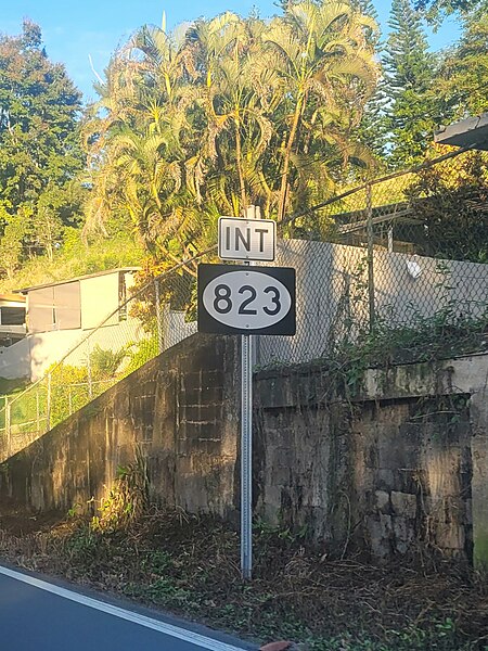 File:Carretera PR-806, intersección con la carretera PR-823, Toa Alta, Puerto Rico.jpg