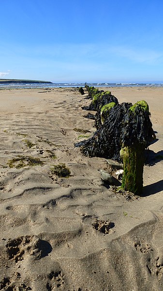 File:Cashen Tees. - panoramio.jpg